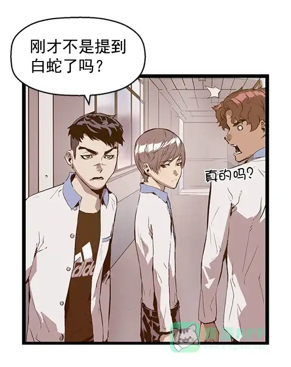 英雄联萌（弱小英雄） 第76话 第12页