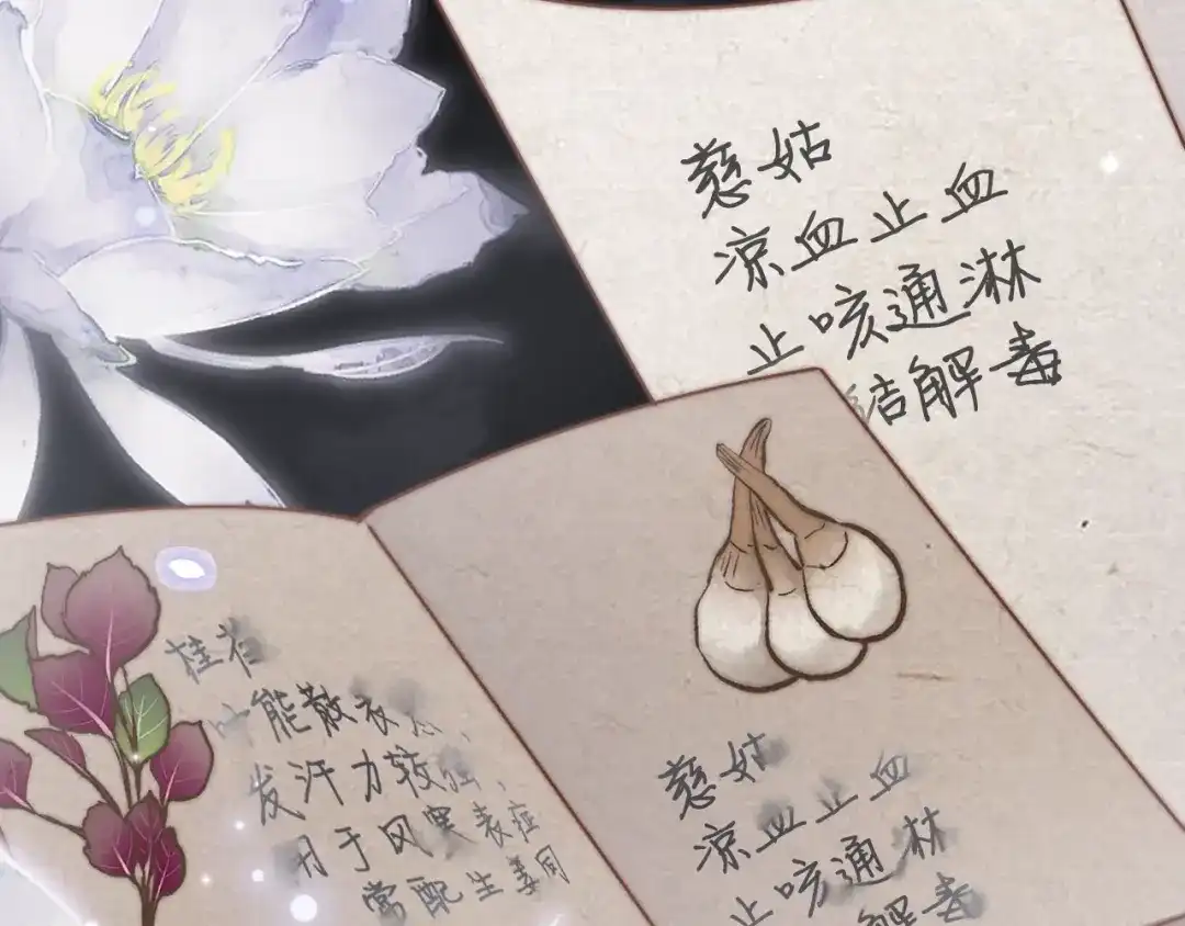 《应有长风倚碧鸢》第29话 无奈隐瞒 第74页