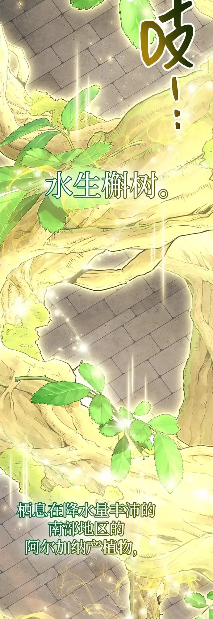 《隐瞒黑历史的玩家》第87话 第38页