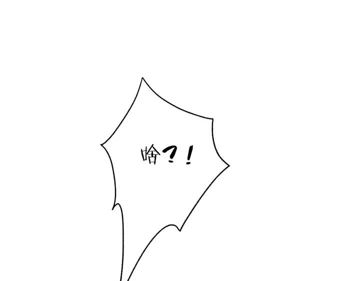 81.jpg