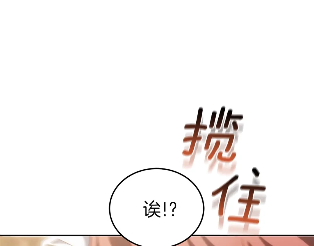《一气之下要当女主》第41话 鬼鬼祟祟的伊利安 第213页