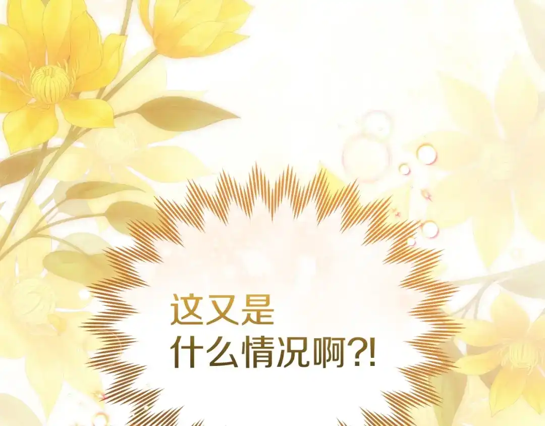 《一气之下要当女主》第6话 警告伊利安 第260页