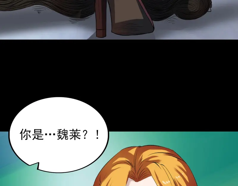 《易人奇录》胡宗秘传2 第88页