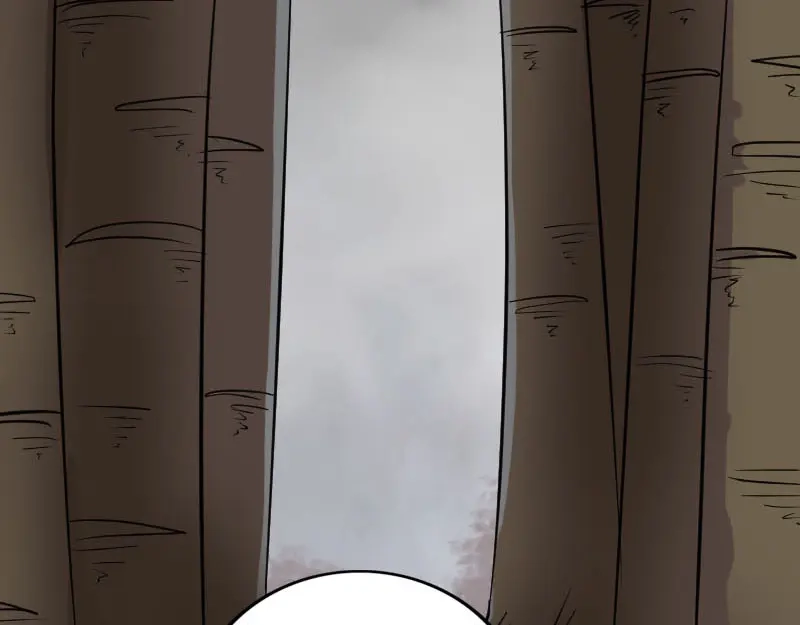 《易人奇录》第340话 神秘老人 第29页