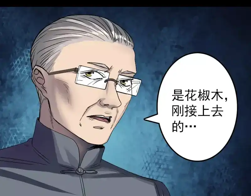 《易人奇录》第42话 花椒木接腿 第4页