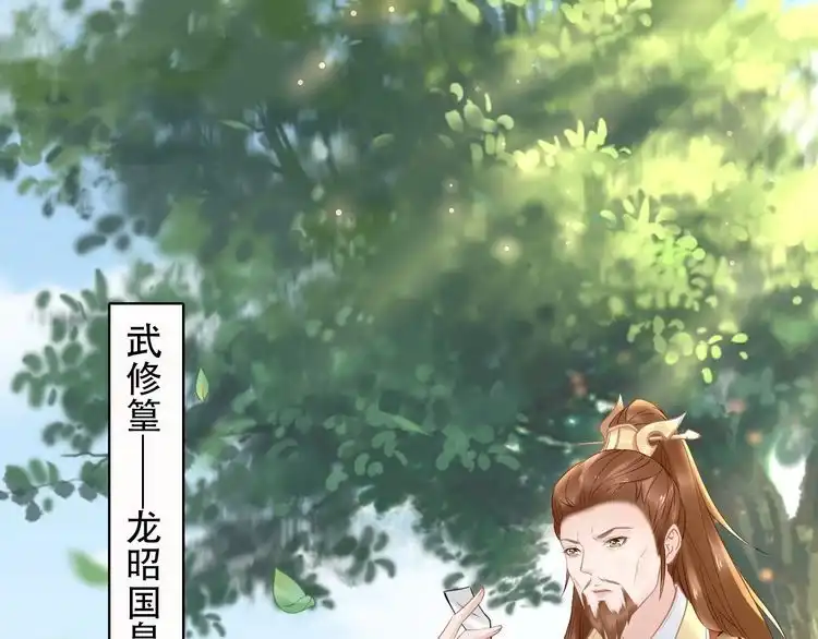 《一生一世笑苍穹》第51话 热到中暑的摄政王 第38页