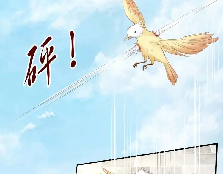 《一生一世笑苍穹》第75话 孤并不在乎你是男是女 第75页