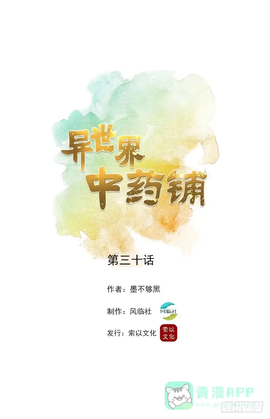 异世界中药铺 30话：锦绣宫门前 第1页