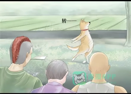 一条狗（条漫） 正传-第十五话 第6页