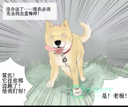一条狗（条漫） 正传-第十八话 第1页