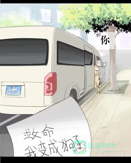 一条狗（条漫） 正传-第二话 第11页