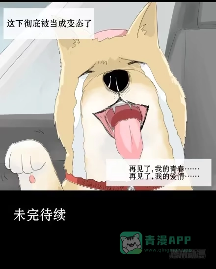 一条狗（条漫） 正传-第二十话 第11页