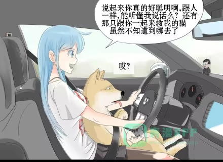 一条狗（条漫） 正传-第二十话 第1页