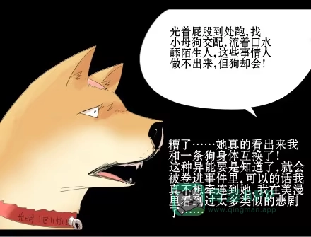 一条狗（条漫） 正传-第二十五话 第11页