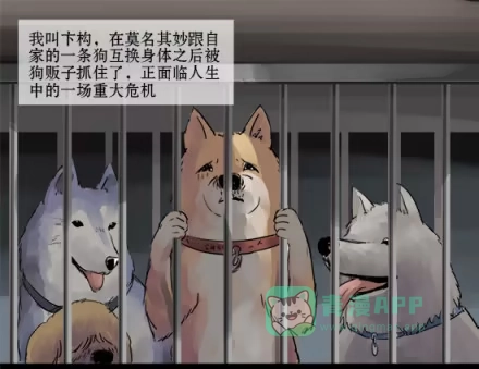 一条狗（条漫） 正传-第三话 第1页