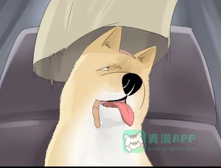 一条狗（条漫） 正传-第三十话 第1页