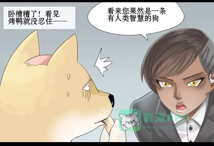 一条狗（条漫） 正传-第三十话 第11页