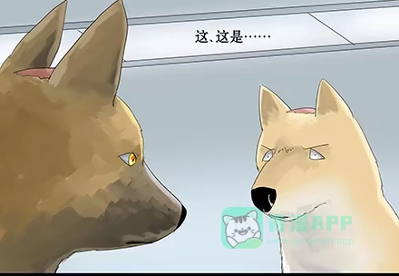 一条狗（条漫） 正传-第三十三话 第1页