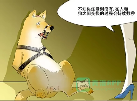 一条狗（条漫） 正传-第四十话 第1页