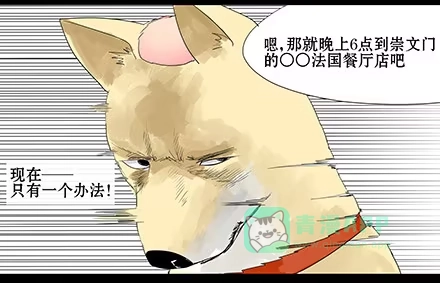 一条狗（条漫） 正传-第四十三话 第11页