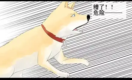 一条狗（条漫） 正传-第四十五话 第9页