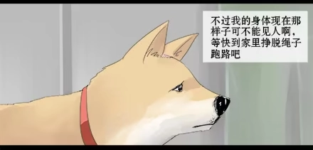 一条狗（条漫） 正传-第五话 第4页