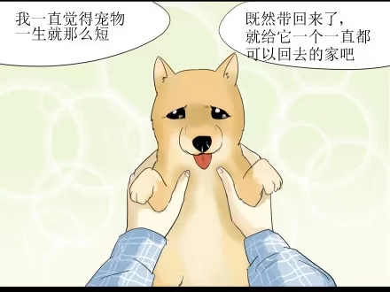 一条狗（条漫） 正传-第五十话 第4页