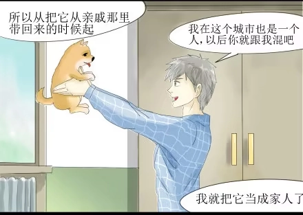 一条狗（条漫） 正传-第五十话 第5页