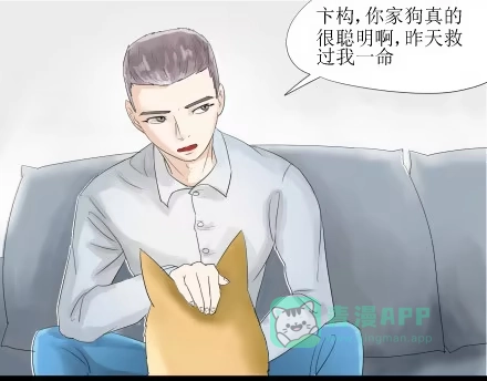 一条狗（条漫） 正传-第五十话 第1页