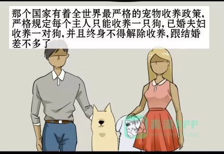 一条狗（条漫） 正传-第五十一话 第11页