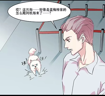 一条狗（条漫） 正传-第五十二话 第13页