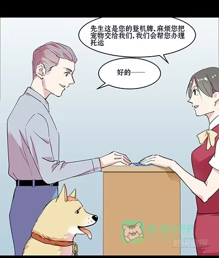一条狗（条漫） 正传-第五十二话 第11页