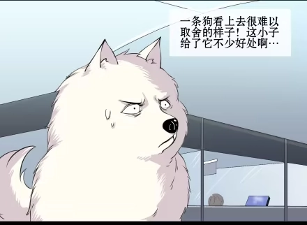 一条狗（条漫） 正传-第五十三话 第5页