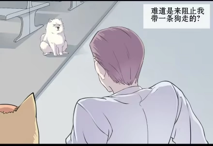 一条狗（条漫） 正传-第五十三话 第2页