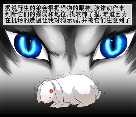 一条狗（条漫） 正传-第五十五话 第3页