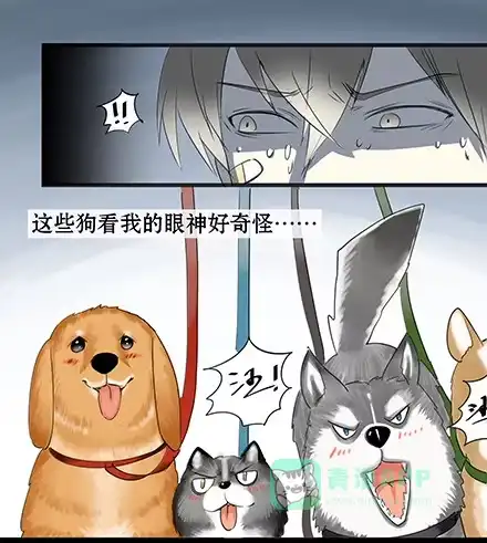 一条狗（条漫） 正传-第五十五话 第1页