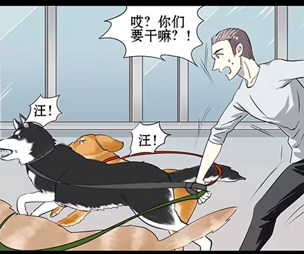 一条狗（条漫） 正传-第五十五话 第4页