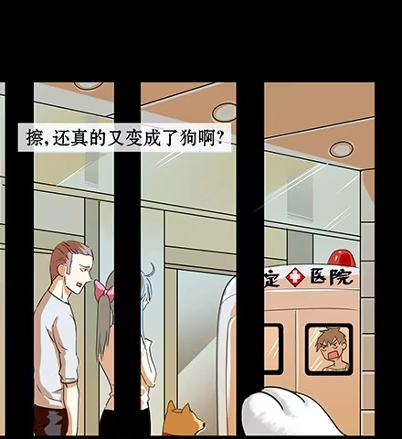 一条狗（条漫） 正传-第五十五话 第7页