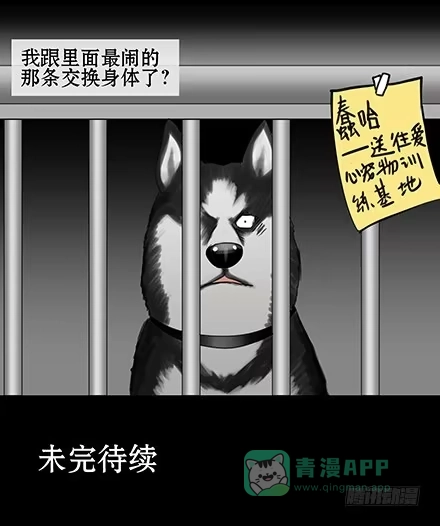 一条狗（条漫） 正传-第五十五话 第11页