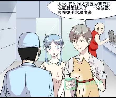 一条狗（条漫） 正传-第五十六话 第6页