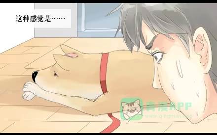 一条狗（条漫） 正传-第六话 第6页