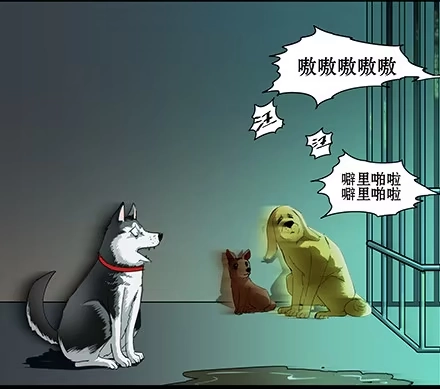 一条狗（条漫） 正传-第五十八话 第3页