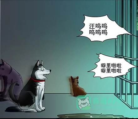 一条狗（条漫） 正传-第五十八话 第6页