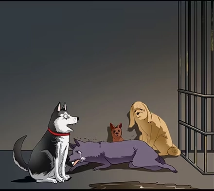 一条狗（条漫） 正传-第五十八话 第4页