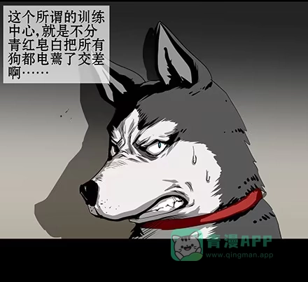 一条狗（条漫） 正传-第五十八话 第11页