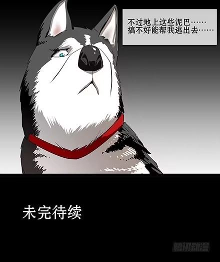一条狗（条漫） 正传-第五十九话 第13页