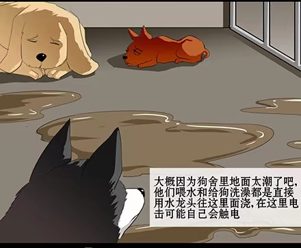 一条狗（条漫） 正传-第五十九话 第12页
