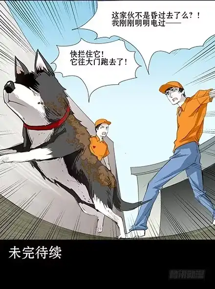 一条狗（条漫） 正传-第六十话 第12页