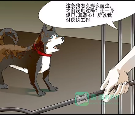 一条狗（条漫） 正传-第六十话 第6页