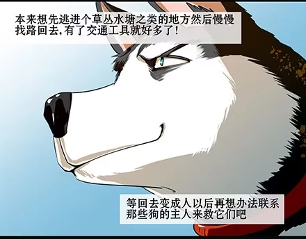 一条狗（条漫） 正传-第六十一话 第4页